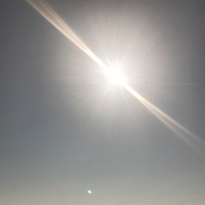 Meet your Posher, Lindsay